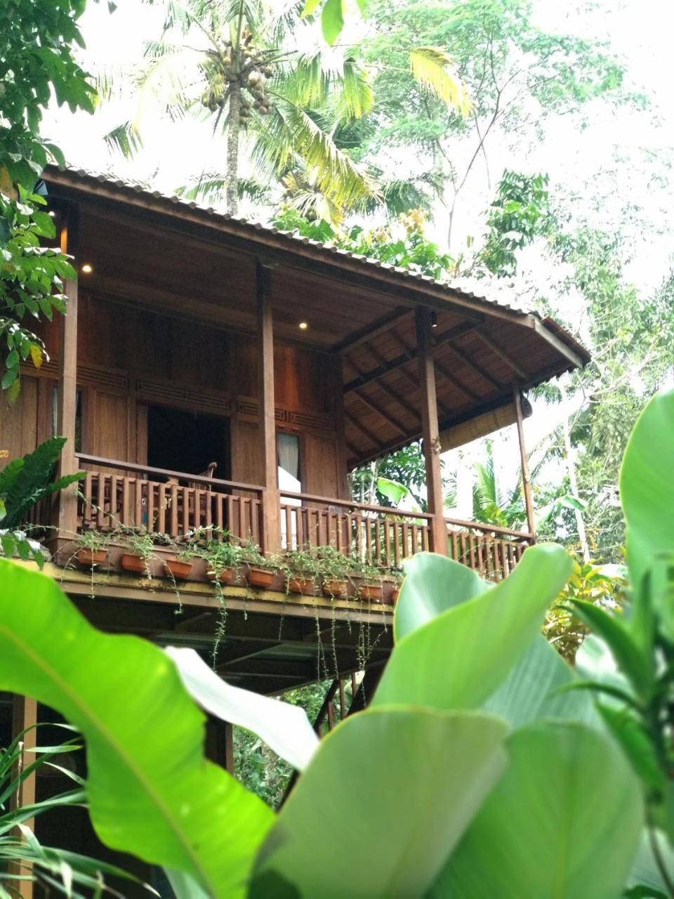 Jungle Joglo Tampaksiring Exterior foto